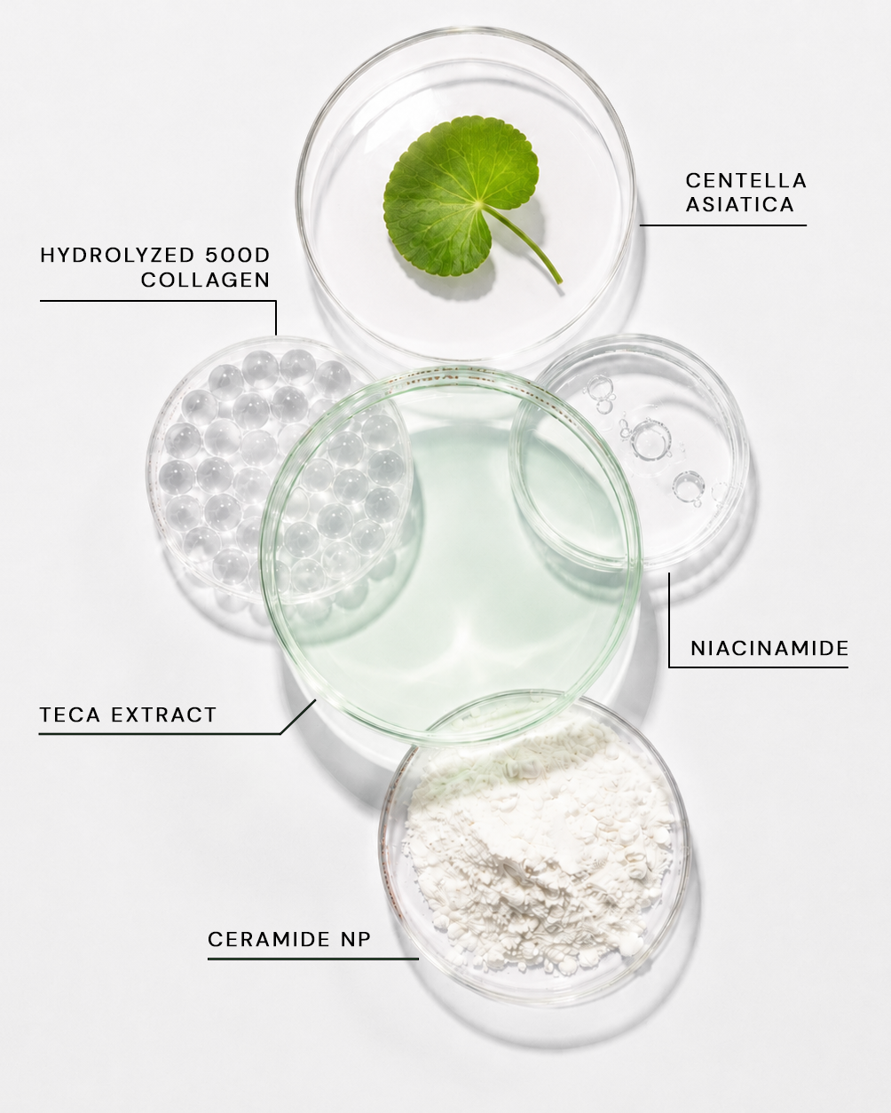 CICA COLLAGEN MASK - 4 Pack