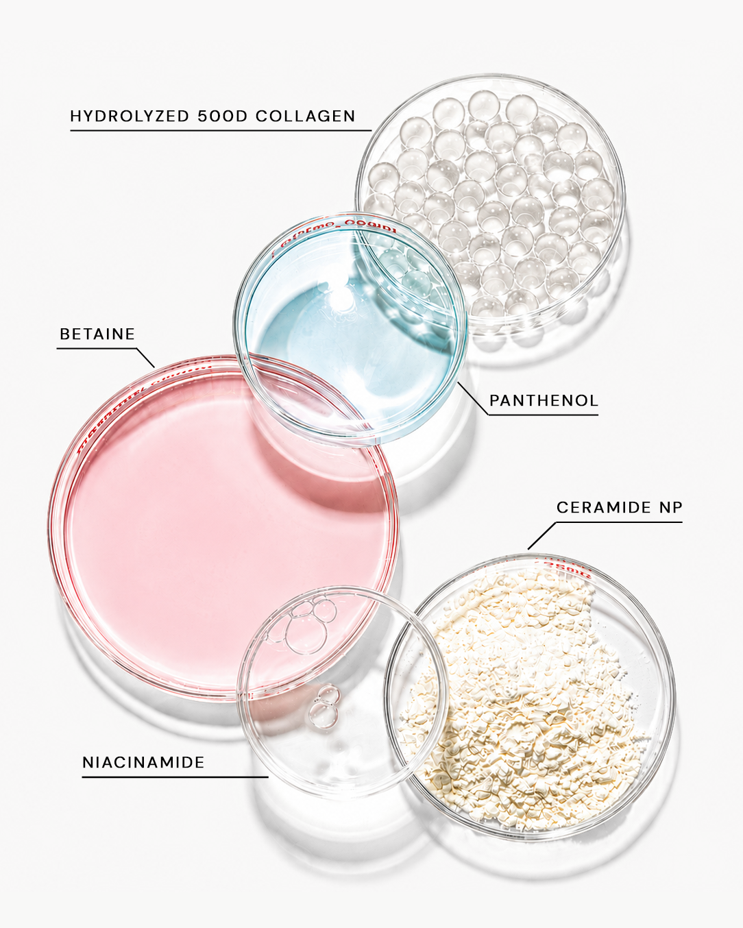 REAL COLLAGEN MASK - 4 Pack